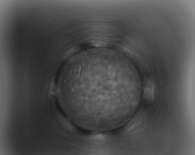 X0000089730620200706281550