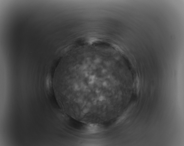 X0000089730623200706281550