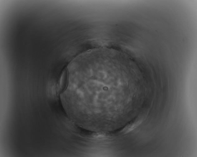 X0000089730624200706281550