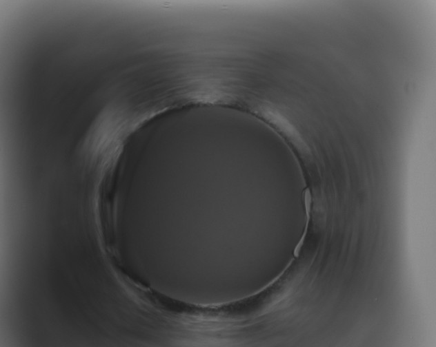 X0000089730626200706281550