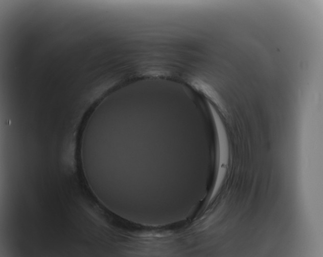 X0000089730627200706281550