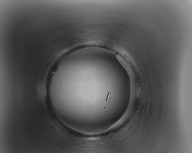 X0000089730628200706281550