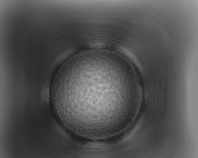 X0000089730633200706281550