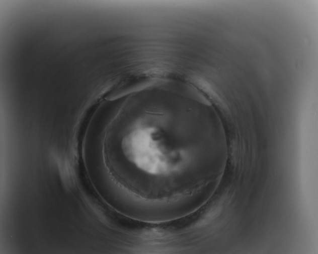 X0000089730634200706281550