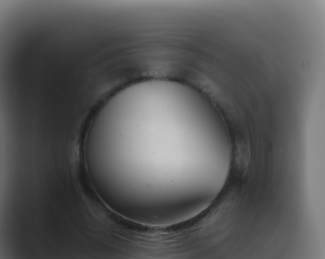 X0000089730636200706281550