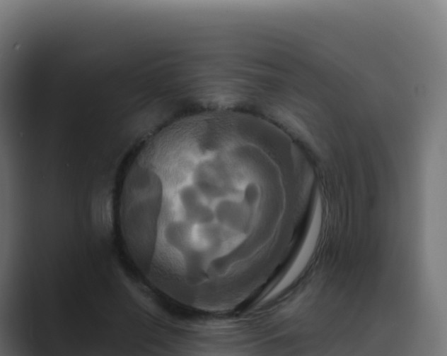 X0000089730638200706281550