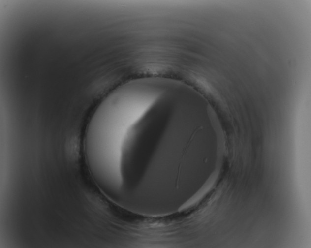 X0000089730640200706281550