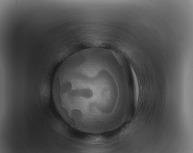X0000089730642200706281550