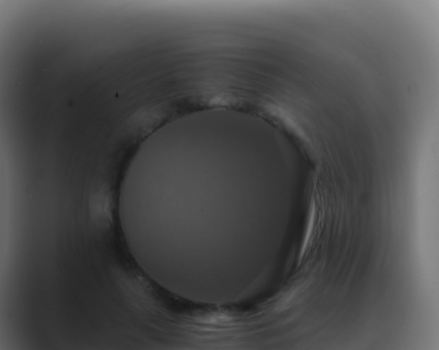 X0000089730643200706281550