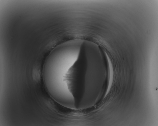 X0000089730644200706281550