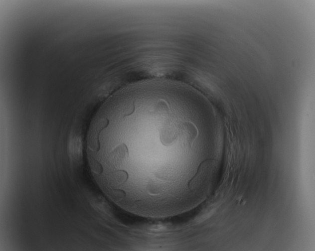 X0000089730646200706281550