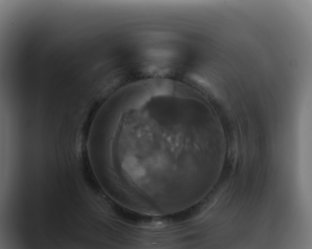 X0000089730647200706281550