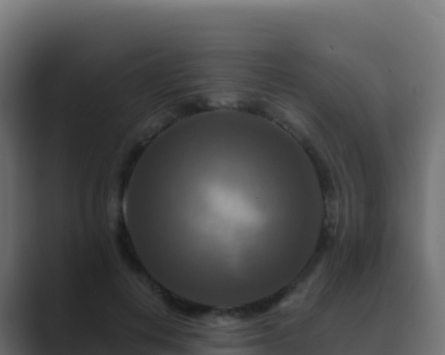 X0000089730648200706281550