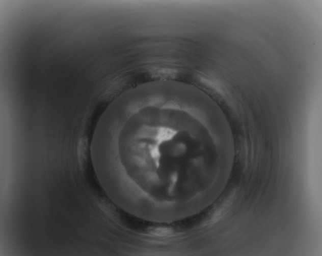 X0000089730649200706281550