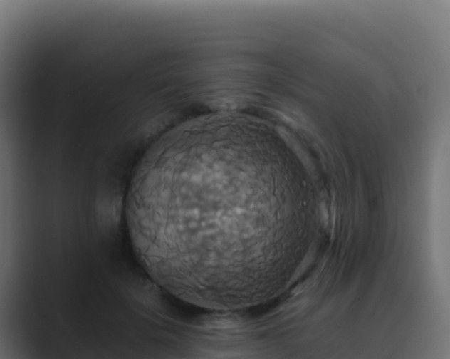 X0000089730652200706281550