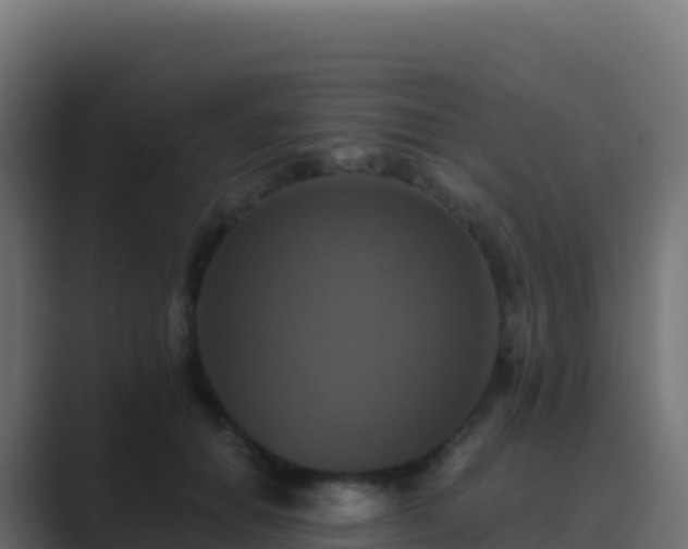 X0000089730654200706281550