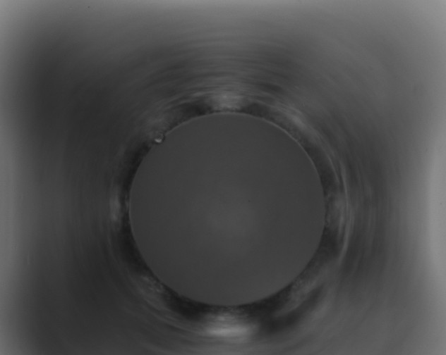 X0000089730655200706281550