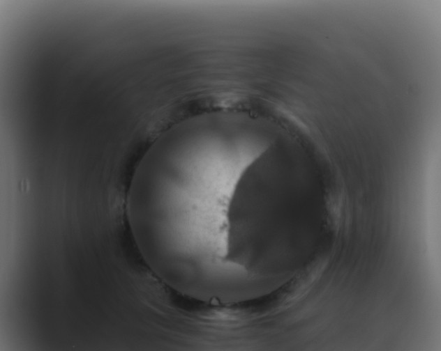 X0000089730657200706281550