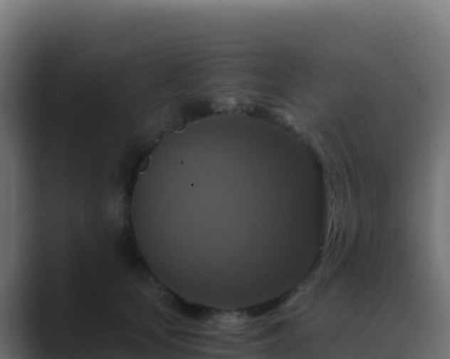 X0000089730659200706281550