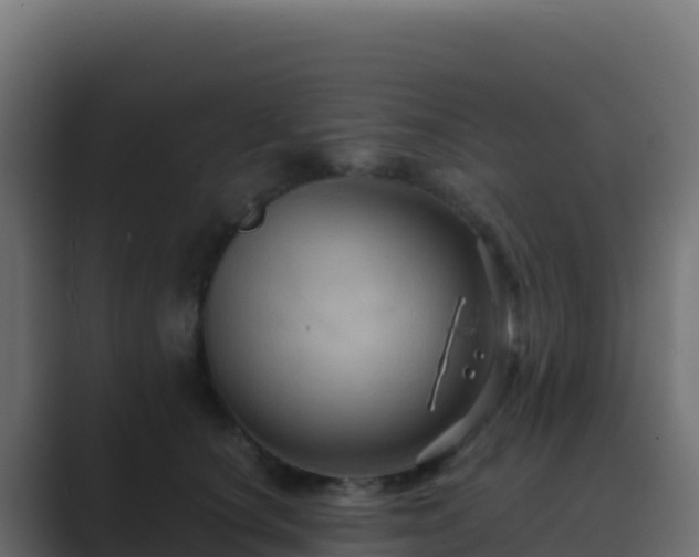 X0000089730660200706281550