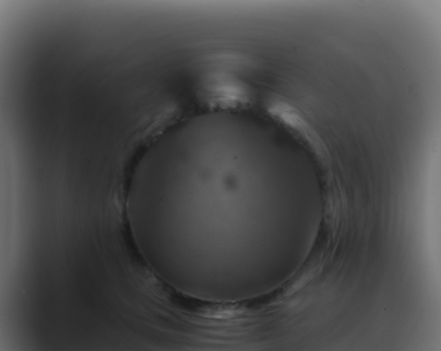 X0000089730661200706281550
