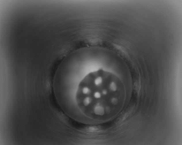 X0000089730662200706281550