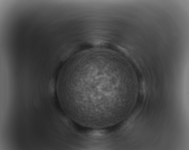 X0000089730664200706281550