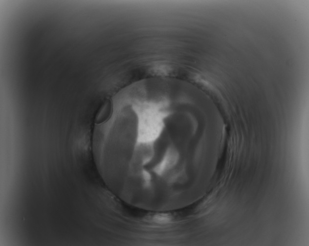 X0000089730665200706281550