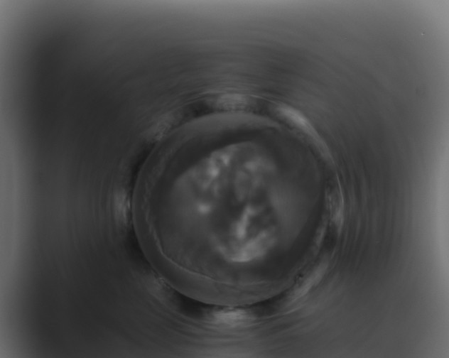 X0000089730669200706281550