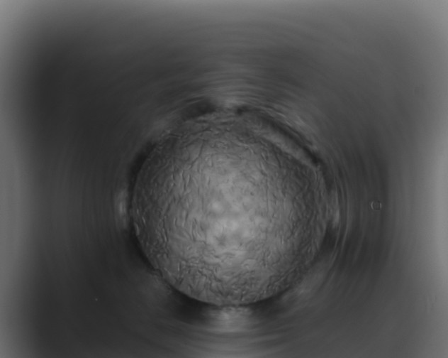 X0000089730670200706281550