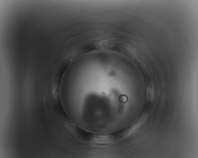 X0000089730671200706281550