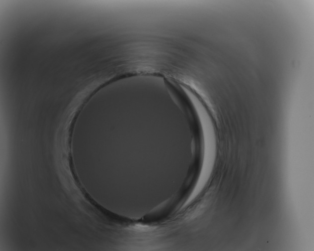 X0000089730673200706281550