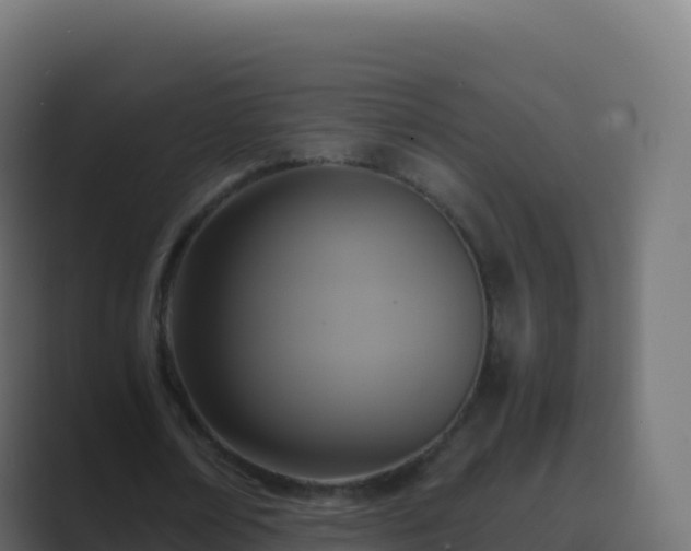 X0000089730674200706281550