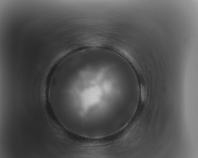 X0000089730675200706281550