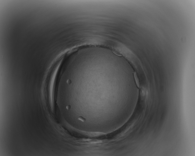 X0000089730676200706281550