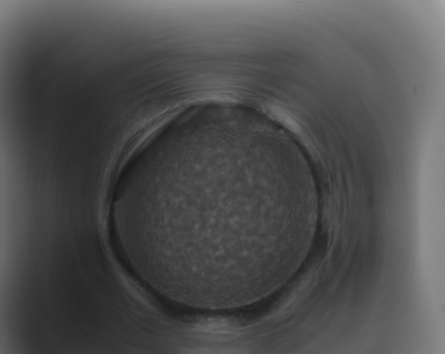 X0000089730677200706281550