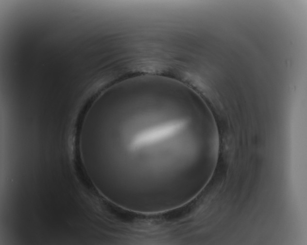 X0000089730679200706281550