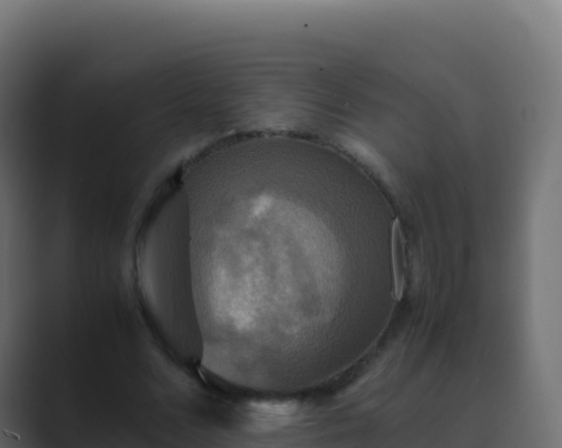 X0000089730680200706281550