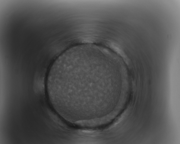 X0000089730681200706281550