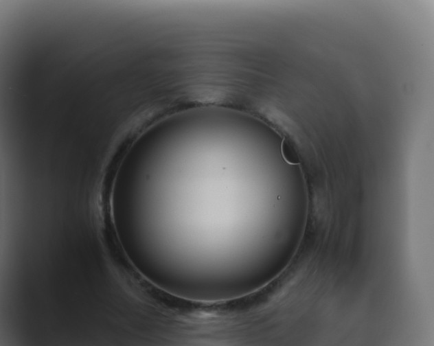 X0000089730682200706281549