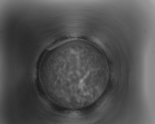 X0000089730683200706281549