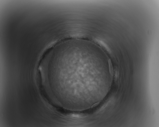 X0000089730684200706281549