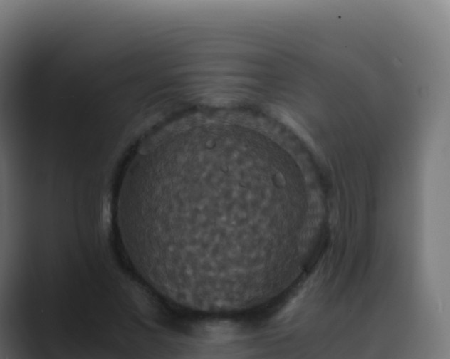 X0000089730685200706281549