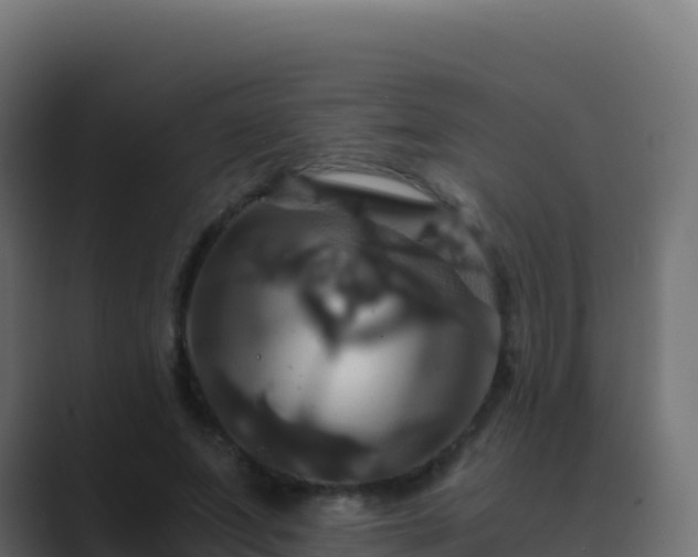 X0000089730687200706281549