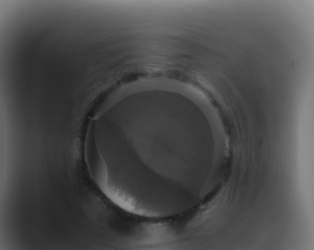 X0000089730689200706281549