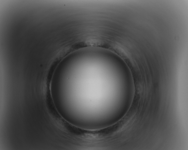 X0000089730690200706281549