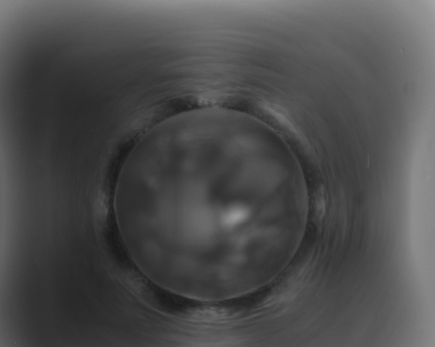 X0000089730691200706281549