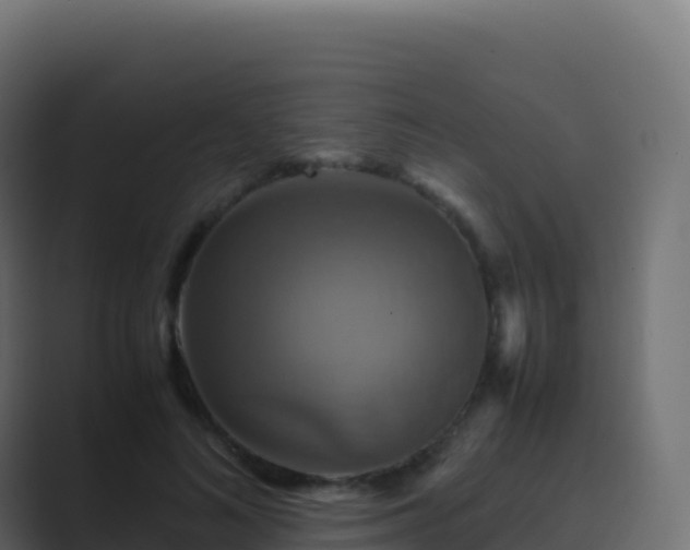 X0000089730692200706281549