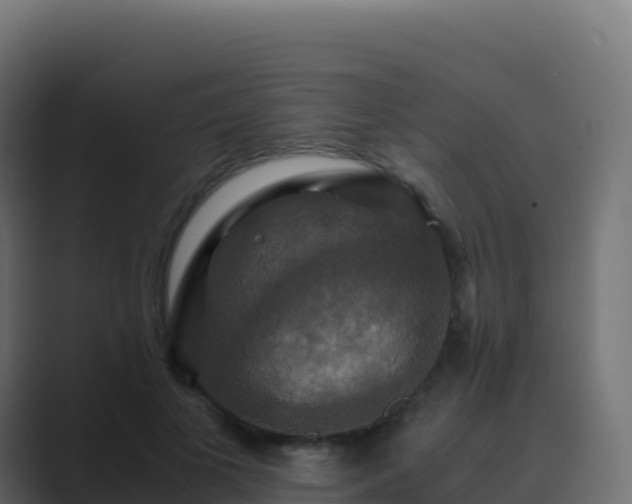 X0000089730693200706281549