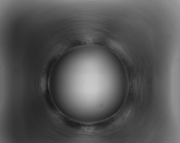 X0000089730694200706281549